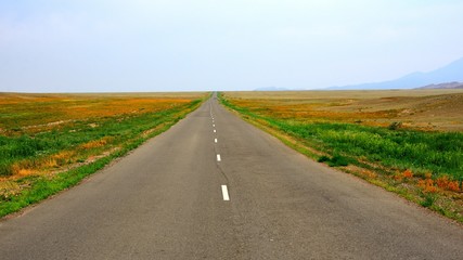 Fototapeta na wymiar Country road in Kegen region of Kazakhstan