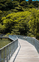 Fototapeta na wymiar Wooden bridge on the coastal area of Check Java Wetlands in Pulau Ubin Island of Singapore.