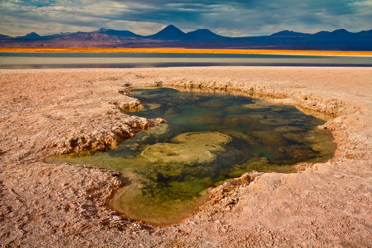 Pond on desert landscape with mountains in background