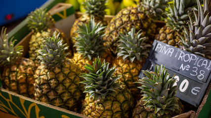  box with tropical pineapples and price sign