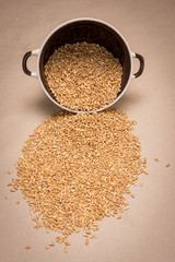 Grains on a table