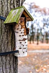 Vertical closeup of wooden birch log wood with roof bird feeder or house in Warsaw, Poland attached to tree during winter