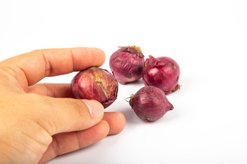 Red Onion on White background