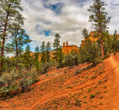 Salt and Pepper Shaker Rocks, Red Canyon, Dixie National Forest, Utah, USA