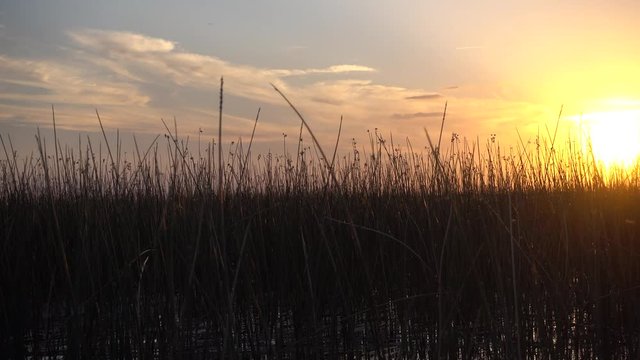 Boating Past Cattails Reeds In Florida Marshland At Sunset Background 002 With Beautiful Sunlight Sunrays Peeking Through 