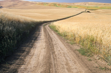 Fototapeta na wymiar The road that travels through the world's largest wheat region named Kamiack Butte in South Eastern Washington