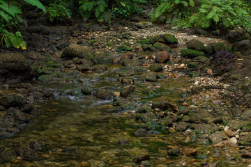 Huasteca Potosina