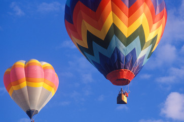Balloons take to the air at the Albuquerque International Balloon Fiesta in New Mexico