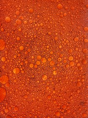 Macro photo of bubbles against an illuminated background