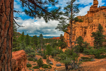 Scenic View of the Valley, Red Canyon, Dixie National Forest, Utah, USA