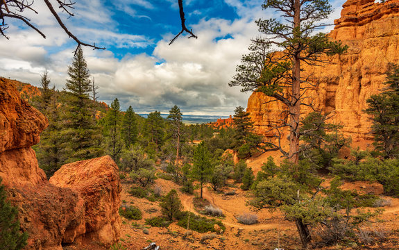 Scenic View of the Valley, Red Canyon, Dixie National Forest, Utah, USA