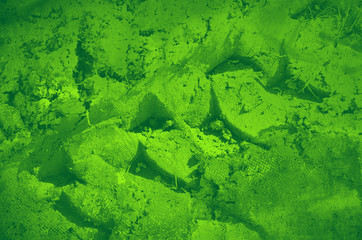 abstract green bright color background for design