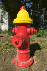 A red fire hydrant with a yellow top is seen roadside in New England