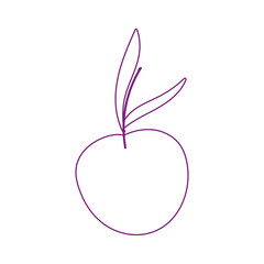 apple fresh fruit isolated icon white background