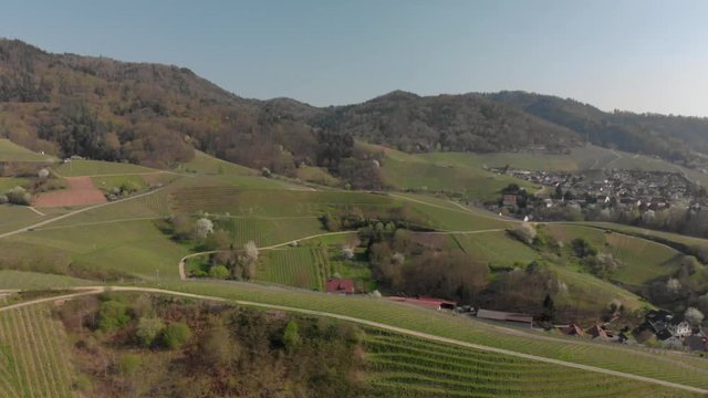 Vineyards next to village with mountains in background
