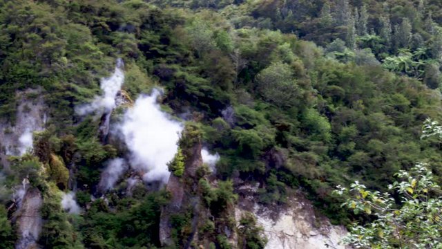 panning shot of Steam emitting from fumaroles at frying pan lake, Waimangu Volcanic Valley, Rotorua, New Zealand