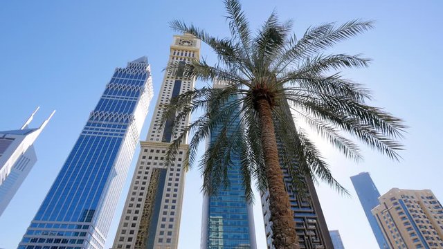 Looking up at palm trees, spectacular tall modern buildings, and bright shiny sun, Dubai