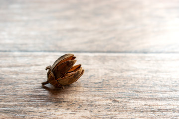 Dry seeds on wood table.Top view of dry seeds.Wood table background.