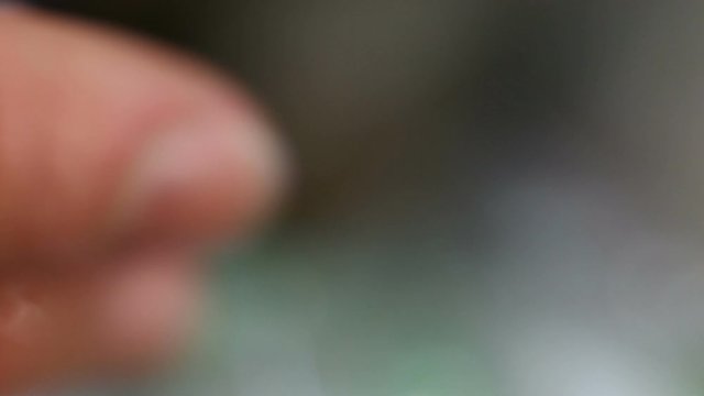 Two fingers without manicure, uncut cuticle. Extreme close-up, real time, contains people.