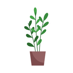 potted plant decoration isolated icon on white background