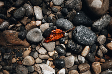 Pebbles by the river