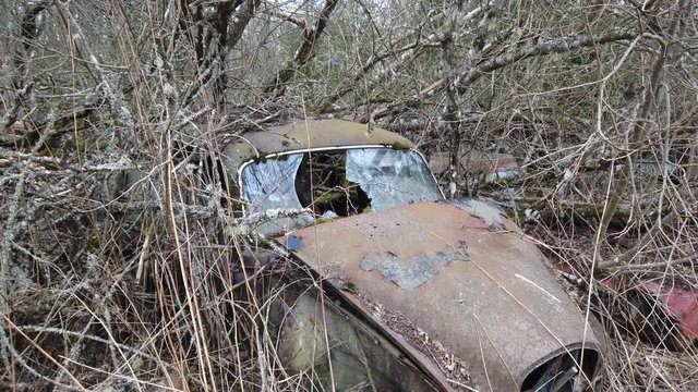 Destroyed vintage car in an auto wrecker in countryside.