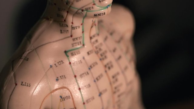 Acupuncture point model with animation on black background.