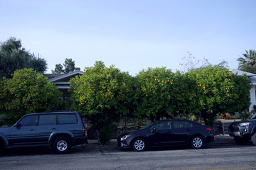 Fototapeta premium cars on the road