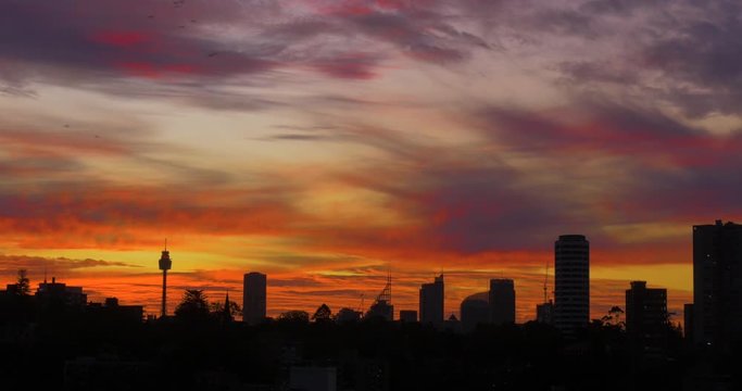 City sunset time lapse. Beautiful 4K timelapse of the sun setting over the Sydney city skyline with stunning cloud formations. Office building exterior. Clouds form and pass.