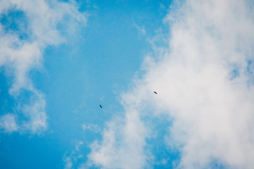 blue sky with clouds background