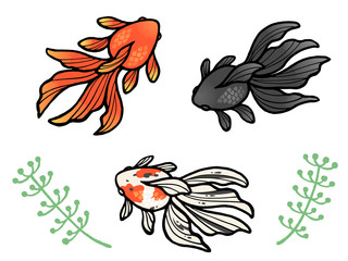 秋の水彩風イラストセット 紅葉の上下フレーム ドングリ マツボックリ Wall Mural Nora Hachio