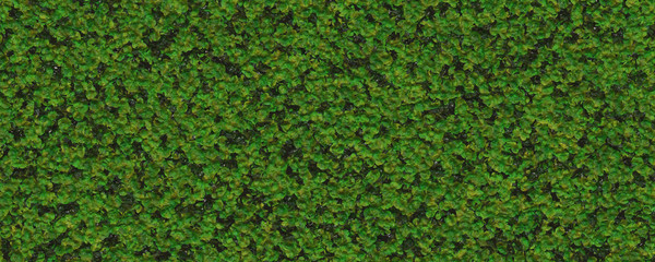 Green foliage texture background © Prime