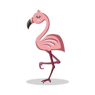 Cute cartoon flamingo. Character animal. Vector illustration.
