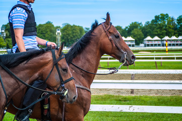 Horse Racing Track Upstate New York Adirondacks Saratoga Race Course