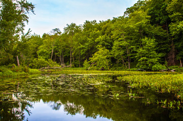 Hudson River Upstate New York Adirondacks Catskills