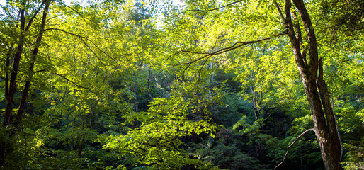 Summer Home in the Finger Lakes Upstate New York Adirondacks Catskills