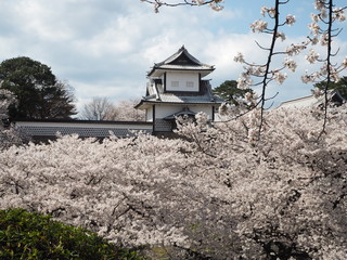the kanazawa castle park in japan