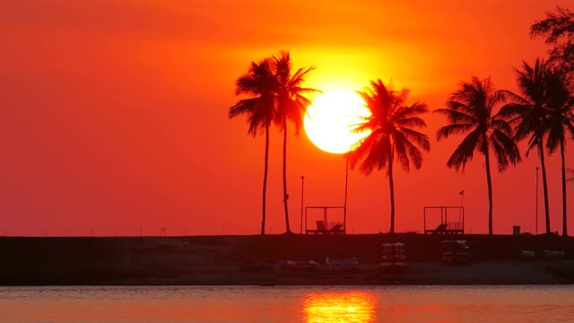 huge sunset behind coconut leaves tree,moving leaves branch tree, little wave in lagoon, golden reflection in water, flying bird,moving flag, beach chair under tree, beautiful twilight sky background