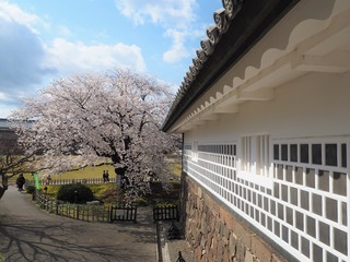 the kanazawa castle park in japan