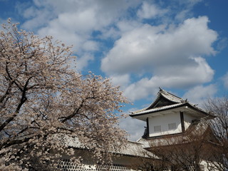 Naklejka premium the kanazawa castle park in japan
