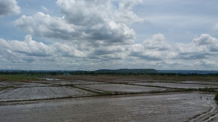 Field