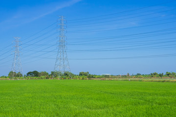 High voltage transmission pole in a bright green rice field On a fresh blue sky. Electricity transmission areas in rural areas far away from prosperity.