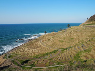 the famous rice paddy in noto peninsula