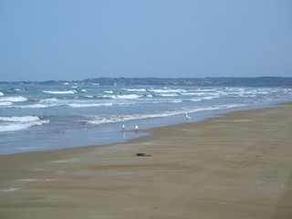 the beach drive way in japan