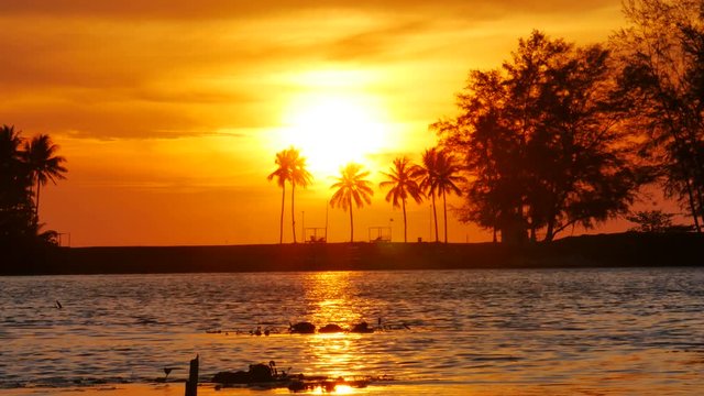 huge sunset behind coconut leaves tree,moving leaves branch tree, little wave in lagoon, golden reflection in water, flying bird,moving flag, beach chair under tree, beautiful twilight sky background