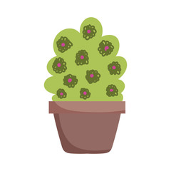 potted plant flowers decoration isolated icon on white background