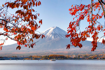 Fuji Mountain and Red Sakura Leaves in Autumn at Kawaguchiko Lake, Japan