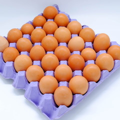 Close-up view of raw chicken eggs on background
