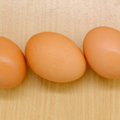 Close-up view of raw chicken eggs on background