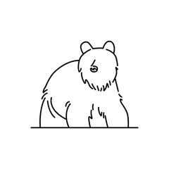 Bear line icon. Isolated on white background